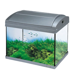 Sell Aquarium